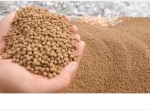 Giá bột cá giảm ở Trung Quốc do thông báo hạn ngạch cá cơm của Peru
