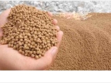 Giá bột cá giảm ở Trung Quốc do thông báo hạn ngạch cá cơm của Peru